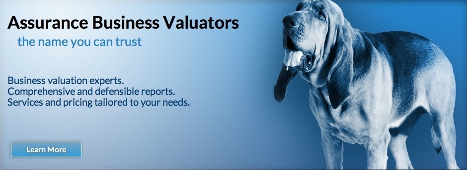 Assurance Business Valuators
